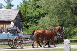 Một người dân làng Upper Canada trên chiếc xe ngựa. (Nguồn: Facebook Upper Canada Village)