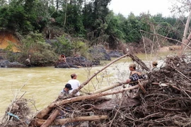 Ảnh minh họa. (Nguồn: TTXVN)