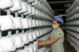 (Ảnh minh họa: Trọng Đức/TTXVN)