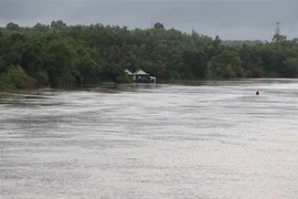 Dự báo lũ trên các sông ở Quảng Trị tiếp tục lên trong thời gian tới, gây nguy cơ ngập úng. (Ảnh: Nguyên Lý/TTXVN) 