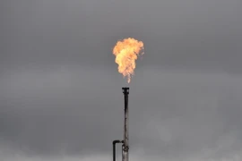 Ảnh minh họa. (Nguồn: AFP/TTXVN)