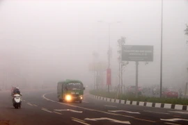 (Ảnh minh họa: Dương Chí Tưởng/TTXVN)