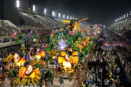 Xe diễu hành của đoàn vũ công samba Paraiso do Tuiuti ở Rio de Janeiro, ngày 26/2. (Nguồn: THX/TTXVN)