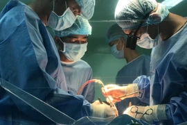 (Ảnh minh họa: Thanh Sang/TTXVN)