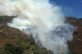 Khói bốc lên trong vụ cháy rừng tại San Bernardino, bang California, ngày 7/8. (Nguồn: EPA/TTXVN)