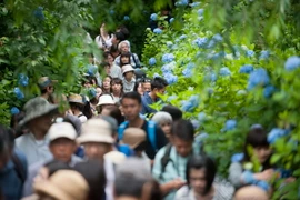 Khách du lịch thăm quan tại thành phố Kamakura, Nhật Bản. (Nguồn: EPA/TTXVN)