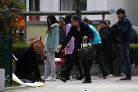 Cha giả làm ngựa để xin tiền chữa bệnh ung thư cho con trai