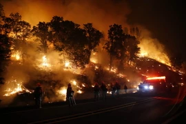 Lực lượng cứu hỏa nỗ lực khống chế các đám cháy rừng ở Valley Fire, California ngày 13/9. (Nguồn: AFP/TTXVN)