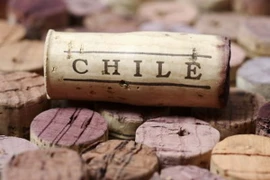 Ảnh minh họa. (Nguồn: westword.com) 