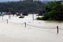 (Ảnh minh họa: Thế Lập/TTXVN)