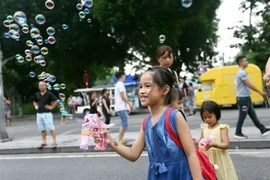 (Ảnh minh họa: Danh Lam/TTXVN) 