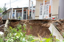 [Photo] Sạt lở nghiêm trọng nhấn chìm nhiều ngôi nhà ở ĐBSCL
