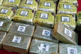 Ảnh minh họa. (Nguồn: TTXVN)