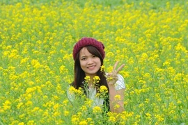 Giới trẻ hào hứng chụp ảnh tại cánh đồng hoa cải. (Ảnh: Xuân Tiến/TTXVN)