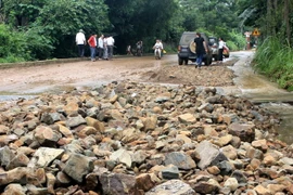 (Ảnh minh họa: Hoa Mai/TTXVN)