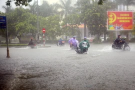 (Ảnh minh họa: Hồ Cầu/TTXVN)