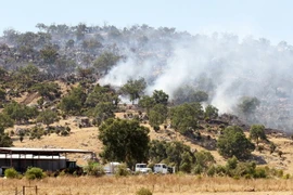 Nắng nóng gây ra nhiều vụ cháy rừng tại vùng Upper Swan, thành phố Perth, Tây Australia ngày 9/1/2017. (Nguồn: EPA/TTXVN)