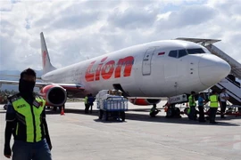 Máy bay Boeing 737-800 của Hãng hàng không Lion Air tại sân bay Mutiara Sis Al Jufri ở Palu, Indonesia ngày 10/10. (Nguồn: AFP/TTXVN) 