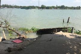 Vết nứt cặp sông Hậu đe dọa đến nhiều hộ dân. (Ảnh: Thanh Sang/TTXVN) 