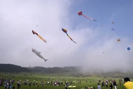 [Photo] Những mẫu diều độc đáo hội tụ tại lễ hội thả diều quốc tế