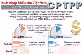 [Infographics] Xuất nhập khẩu Việt Nam với 10 nước thành viên CPTPP