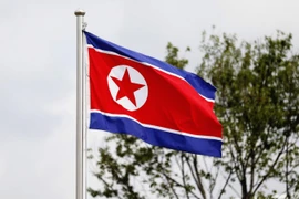 (Nguồn: nikkei.com)