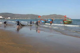 (Ảnh minh họa: Ly Kha/TTXVN)