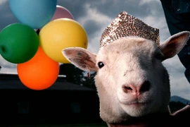 Cừu Dolly. (Nguồn: theguardian.com)