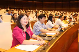 Các đại biểu Quốc hội tham gia một phiên họp. (Ảnh: Phương Hoa/TTXVN)