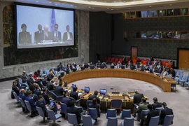 Một cuộc họp về tình hình Syria tại trụ sở Liên hợp quốc ở New York, Mỹ, ngày 19/11/2018. (Nguồn: THX/TTXVN) 
