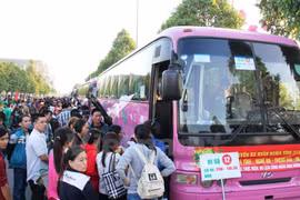 (Ảnh: Dương Chí Tưởng/Vietnam+)