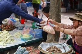 [Photo] Làm thế nào để giải bài toán xử lý chất thải nhựa?