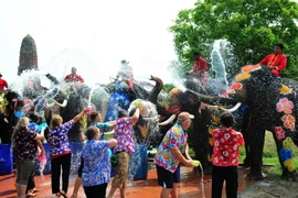 Những chú voi phun nước đón khách du lịch nhân dịp lễ Songkran ở tỉnh Ayutthaya, Thái Lan. (Nguồn: THX/TTXVN)