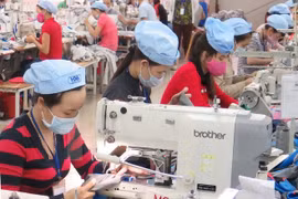 (Ảnh minh họa: Quốc Việt/TTXVN)