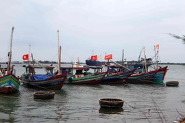 (Ảnh minh họa: Thanh Tùng/TTXVN)