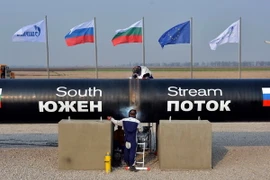 Bulgaria quyết tâm tham gia dự án "Dòng chảy phương Nam"