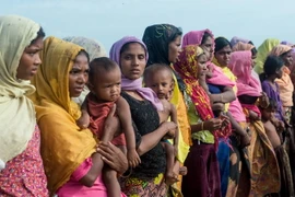 Người tị nạn Rohingya chờ nhận thực phẩm cứu trợ tại Ukhia, Bangladesh ngày 14/11/2017. (Nguồn: AFP/TTXVN) 