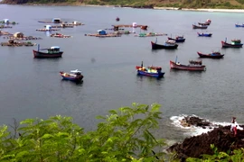 Những bè ương nuôi tôm hùm trái phép gần thắng cảnh quốc gia gành Đá Đĩa. (Ảnh: Thế Lập/TTXVN)