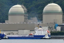 Nỗ lực tái khởi động điện hạt nhân ở Nhật Bản gặp khó khăn