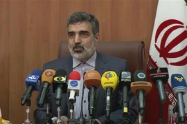 Người phát ngôn Tổ chức năng lượng nguyên tử Iran Behrouz Kamalvandi. (Nguồn: Press TV/ TTXVN)