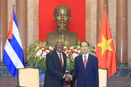 Chủ tịch nước Trần Đại Quang tiếp thân mật ông Salvado Valdes Mesa, Phó Chủ tịch thứ Nhất Hội đồng Nhà nước và Hội đồng Bộ trưởng Cuba nhân chuyến thăm chính thức Việt Nam. (Ảnh: Nhan Sáng/TTXVN)