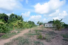 (Ảnh minh họa: Hưng Thịnh/TTXVN)