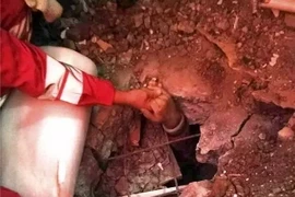 Cái nắm tay của sự sống. (Nguồn: QQ)