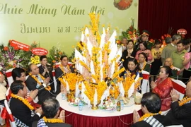 Giao lưu hữu nghị chào mừng Tết cổ truyền một số nước châu Á