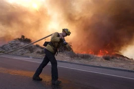 Lính cứu hỏa nỗ lực dập lửa cháy rừng tại thung lũng Simi, California, Mỹ ngày 12/11. (Nguồn: THX/TTXVN) 