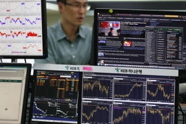 Ảnh minh họa. (Nguồn: EPA/TTXVN)