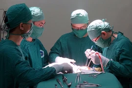 (Ảnh minh họa: Phương Vy/TTXVN)