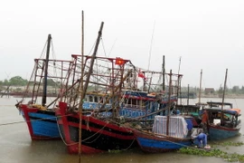 (Ảnh minh họa: Văn Đạt/TTXVN)