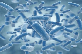 Ảnh minh họa. (Nguồn: zeenews.india.com)