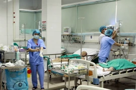 (Ảnh minh họa: Dương Ngọc/TTXVN)